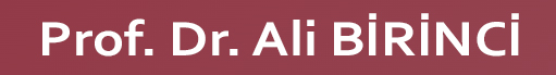 Prof. Dr. Ali BİRİNCİ - Yakınçağ Siyasi Tarihi- Türk Tarih Kurumu Eski Başkanı - Emekli Polis Akademisi Öğretim Üyesi Resmi Web Sitesi